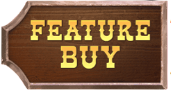 Wild Bounty Showdown: Legendary Showdown on the Golden Frontier插图2 Wild Bounty Showdown